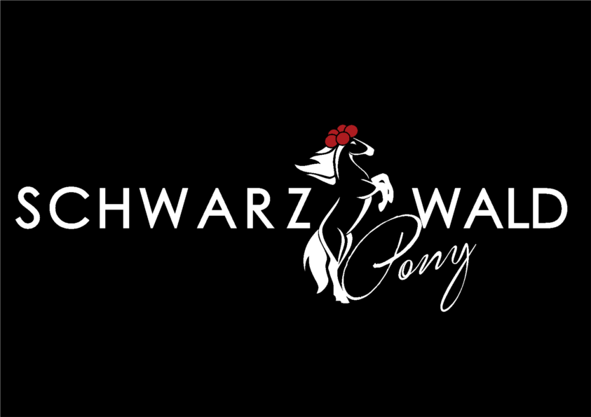 Schwarzwaldpony