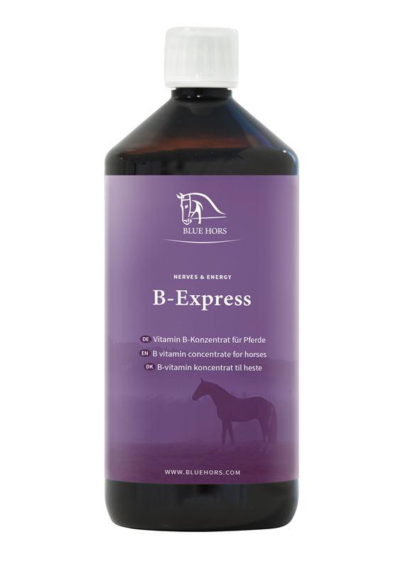 B-Express (1l)