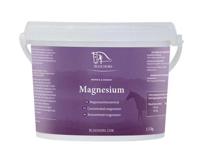 Magnesium (1,5 kg)