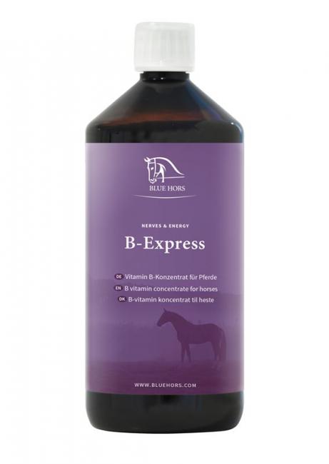 B-Express (1l)