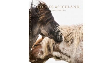 Horses of Iceland