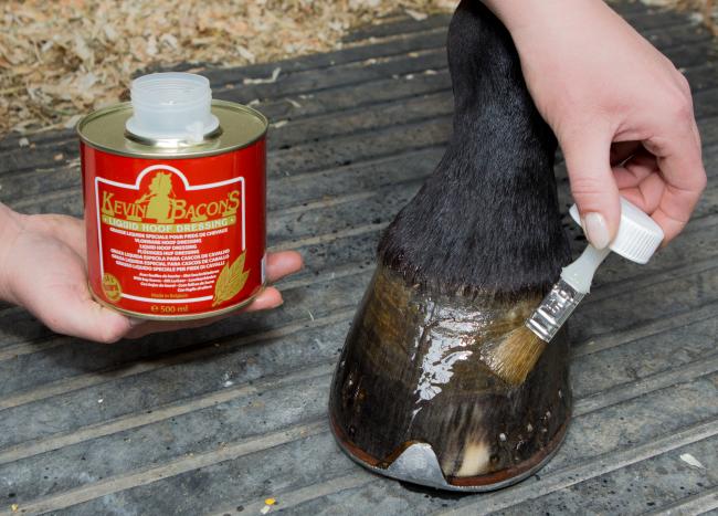 Hoof Dressing